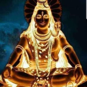 Meet your Posher, Silvia